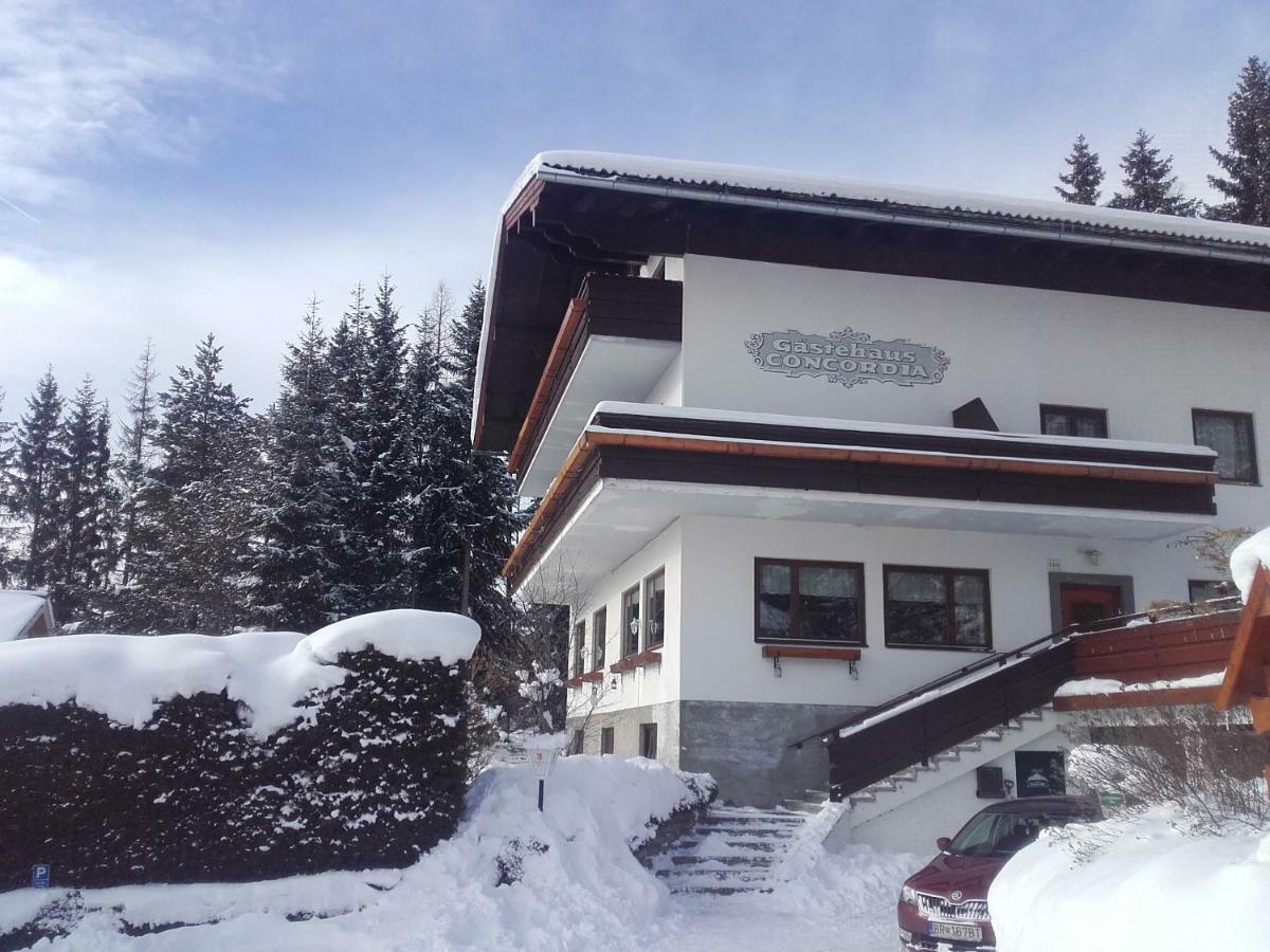Pension Concordia Ramsau am Dachstein Dış mekan fotoğraf
