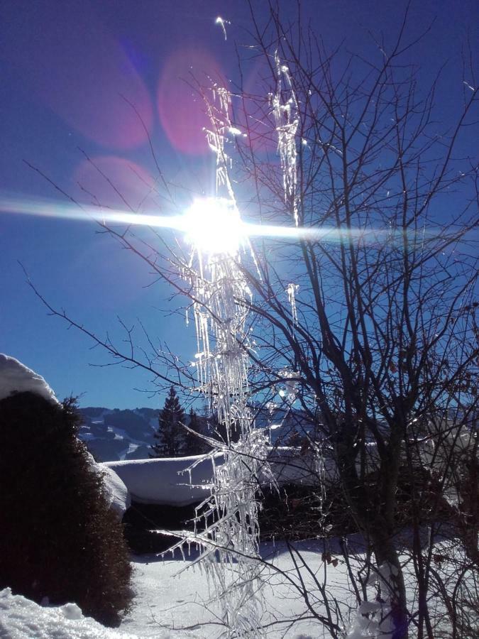Pension Concordia Ramsau am Dachstein Dış mekan fotoğraf